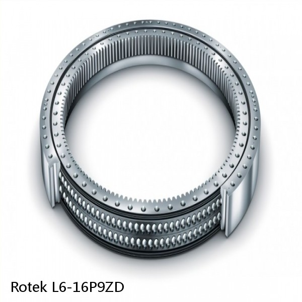 L6-16P9ZD Rotek Slewing Ring Bearings