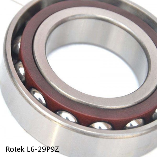 L6-29P9Z Rotek Slewing Ring Bearings