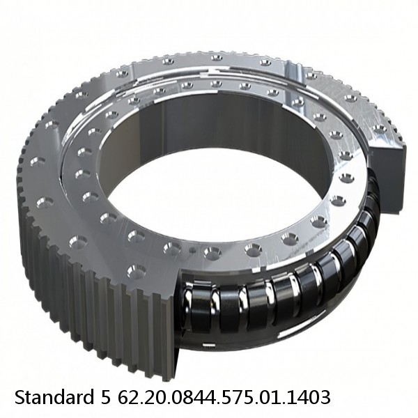 62.20.0844.575.01.1403 Standard 5 Slewing Ring Bearings