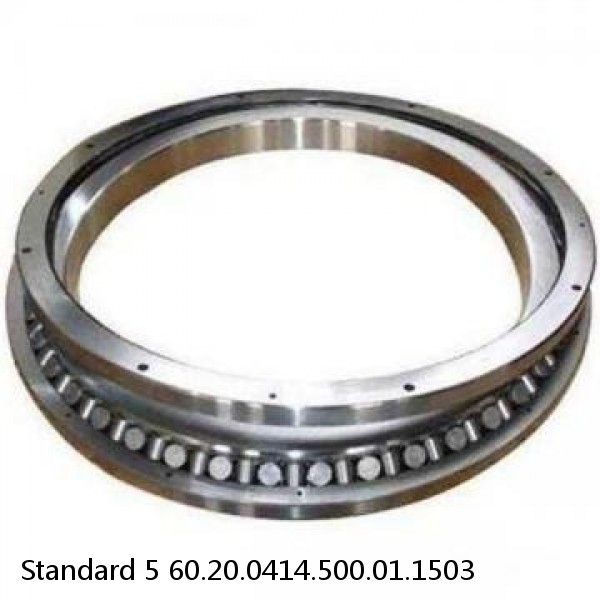 60.20.0414.500.01.1503 Standard 5 Slewing Ring Bearings