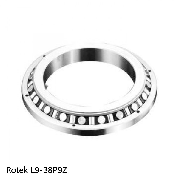 L9-38P9Z Rotek Slewing Ring Bearings