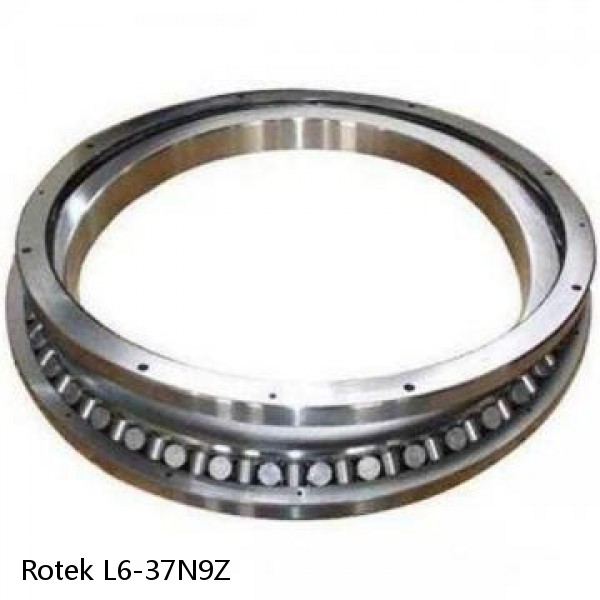 L6-37N9Z Rotek Slewing Ring Bearings