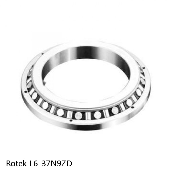 L6-37N9ZD Rotek Slewing Ring Bearings