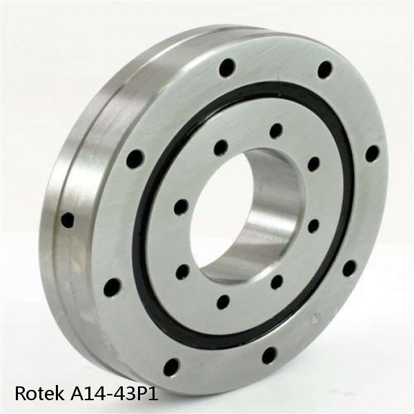 A14-43P1 Rotek Slewing Ring Bearings