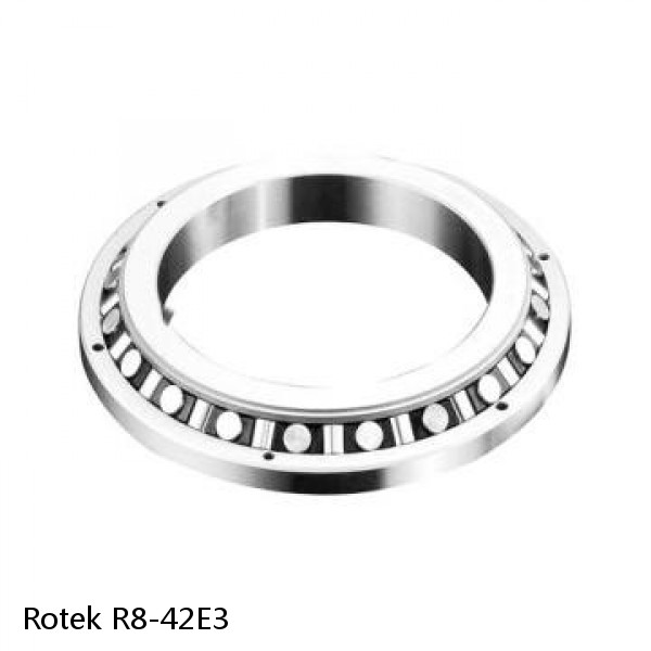 R8-42E3 Rotek Slewing Ring Bearings