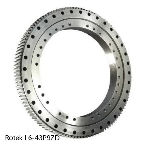 L6-43P9ZD Rotek Slewing Ring Bearings