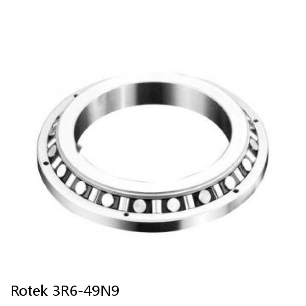 3R6-49N9 Rotek Slewing Ring Bearings