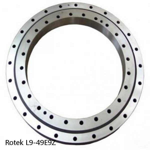 L9-49E9Z Rotek Slewing Ring Bearings