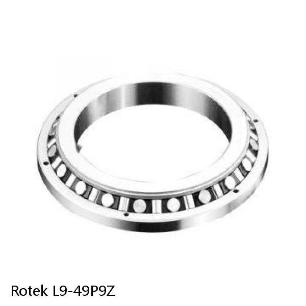 L9-49P9Z Rotek Slewing Ring Bearings