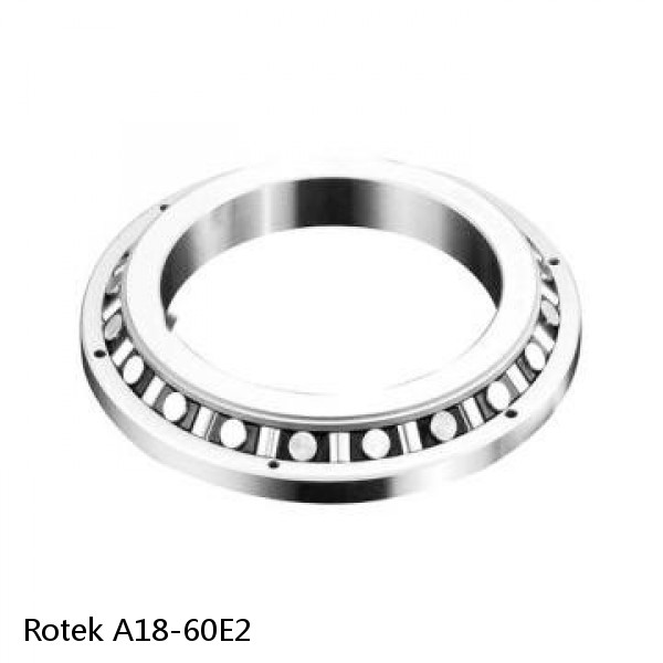 A18-60E2 Rotek Slewing Ring Bearings