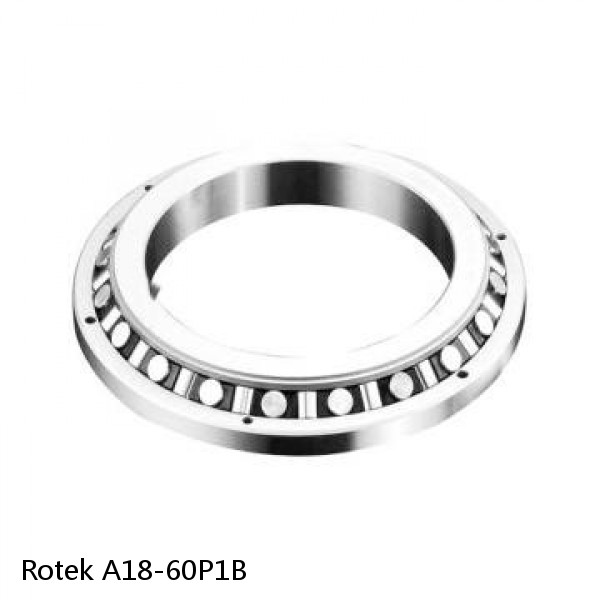 A18-60P1B Rotek Slewing Ring Bearings