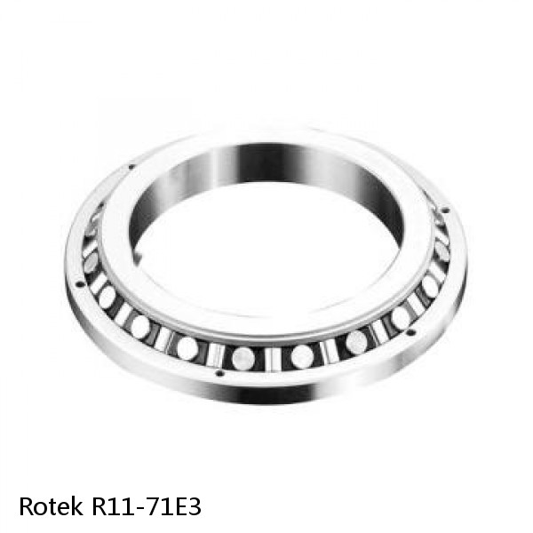 R11-71E3 Rotek Slewing Ring Bearings