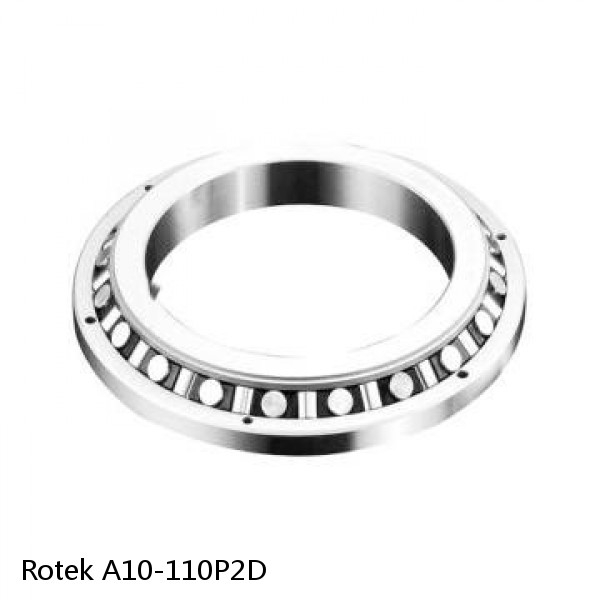 A10-110P2D Rotek Slewing Ring Bearings