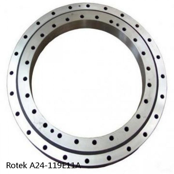 A24-119E11A Rotek Slewing Ring Bearings