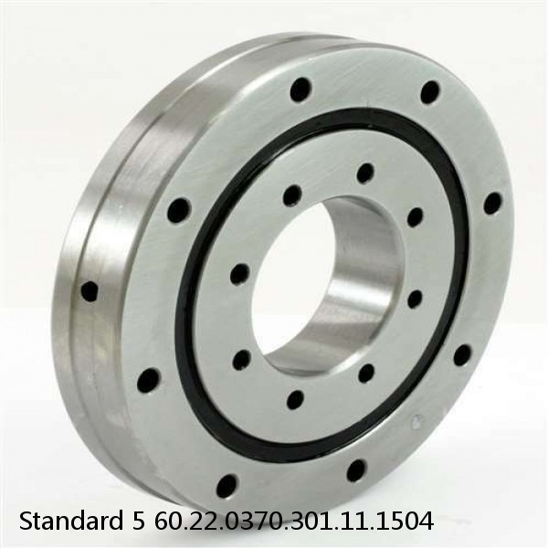 60.22.0370.301.11.1504 Standard 5 Slewing Ring Bearings