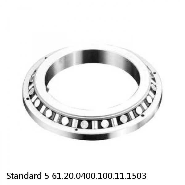 61.20.0400.100.11.1503 Standard 5 Slewing Ring Bearings