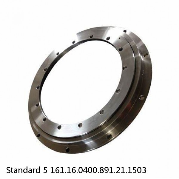 161.16.0400.891.21.1503 Standard 5 Slewing Ring Bearings