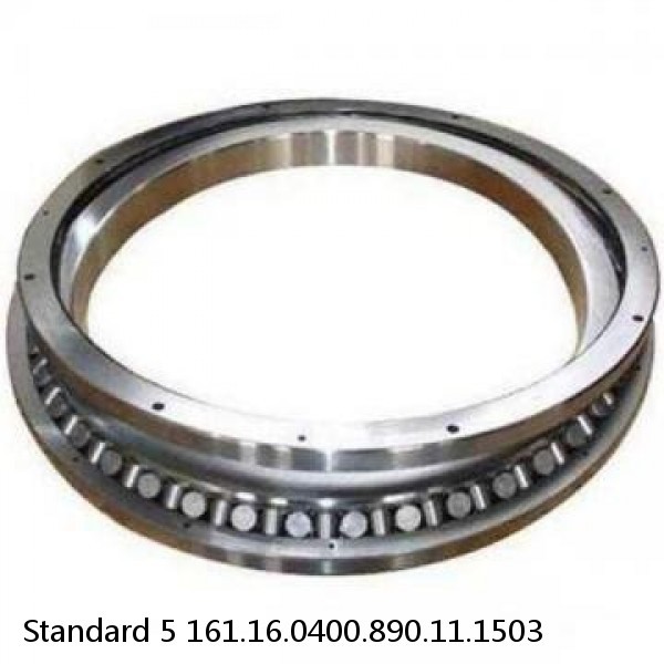 161.16.0400.890.11.1503 Standard 5 Slewing Ring Bearings