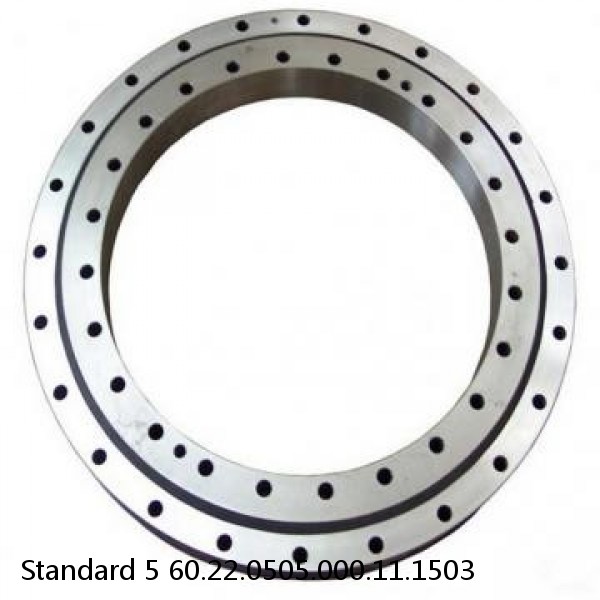 60.22.0505.000.11.1503 Standard 5 Slewing Ring Bearings