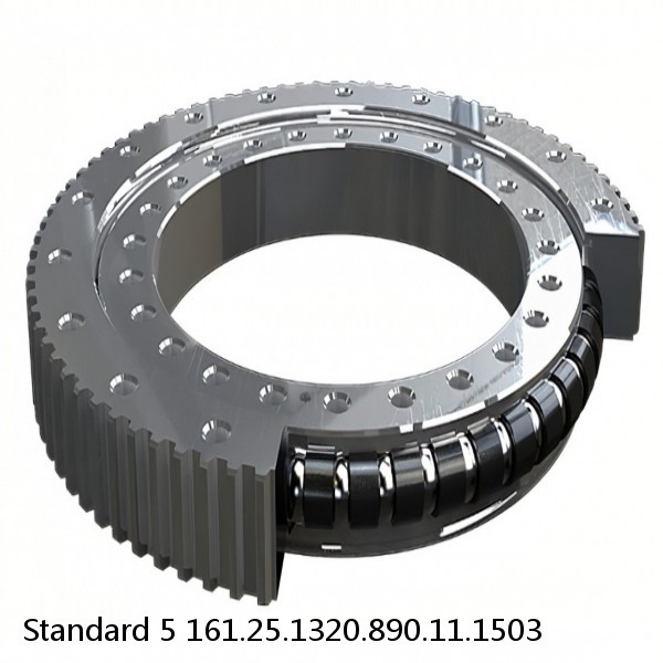 161.25.1320.890.11.1503 Standard 5 Slewing Ring Bearings