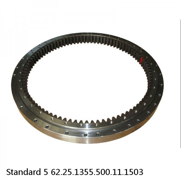 62.25.1355.500.11.1503 Standard 5 Slewing Ring Bearings