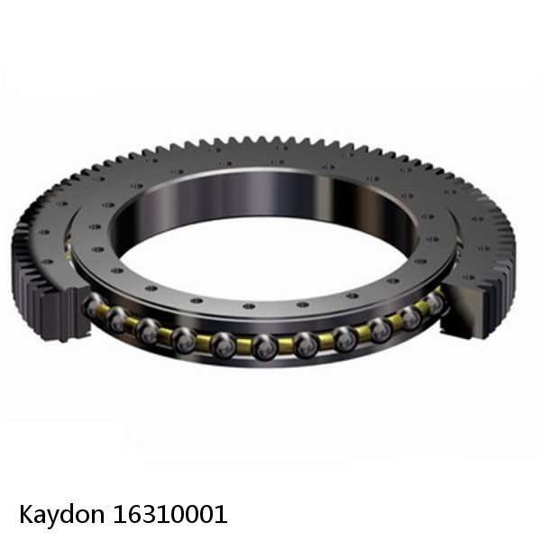 16310001 Kaydon Slewing Ring Bearings