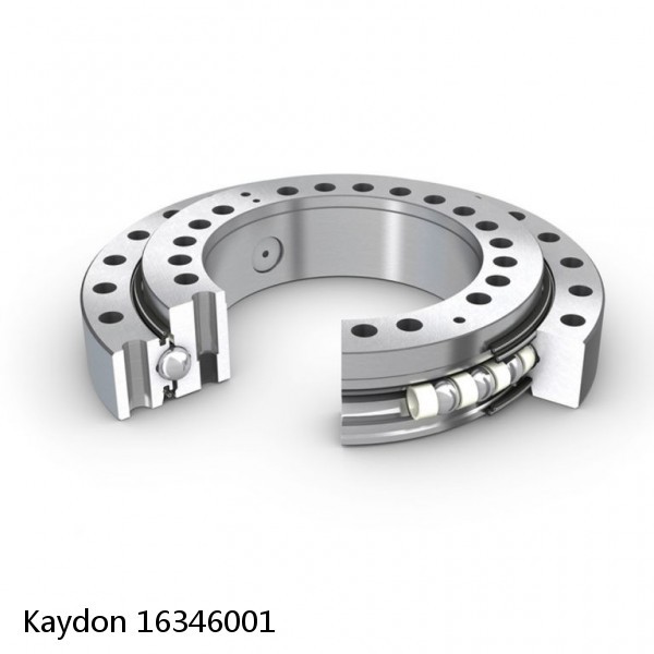 16346001 Kaydon Slewing Ring Bearings