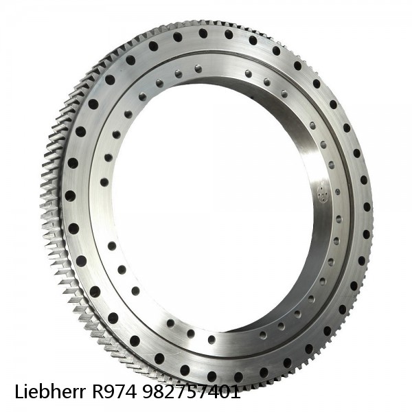 982757401 Liebherr R974 Slewing Ring