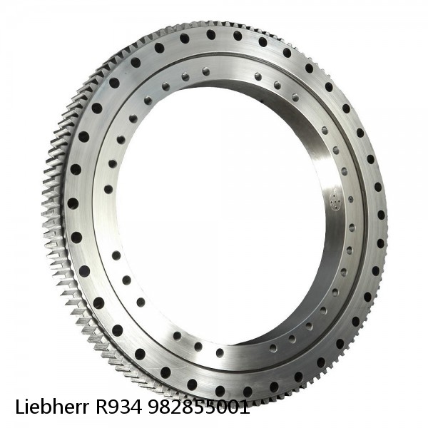 982855001 Liebherr R934 Slewing Ring