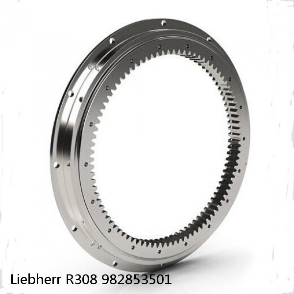 982853501 Liebherr R308 Slewing Ring