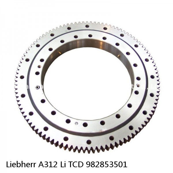 982853501 Liebherr A312 Li TCD Slewing Ring