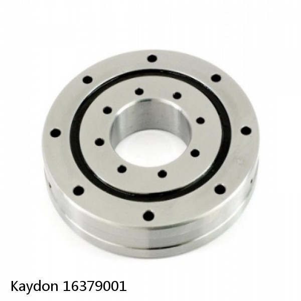 16379001 Kaydon Slewing Ring Bearings