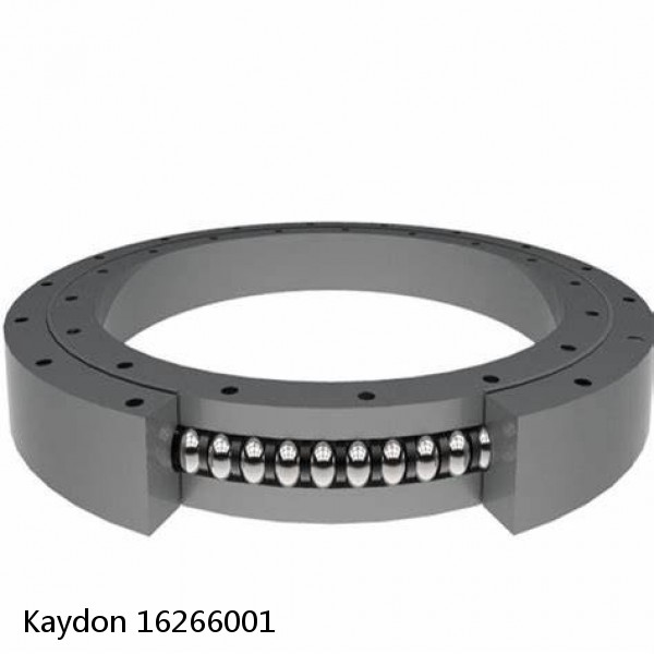 16266001 Kaydon Slewing Ring Bearings